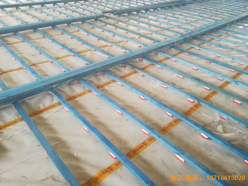 ɽ�|��(j��)�Ϛv�ǅ^(q��)С�W(xu��)�w��ľ�ذ尲�b����