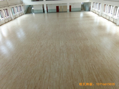 �����wȫ�I�(zh��n)���С�W�w���^�w��ľ�ذ���b����