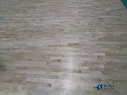 ��ľ�w�����^ľ�ذ屣�B