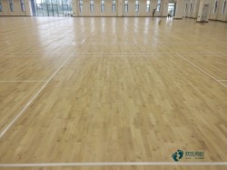 ����Щ�\(y��n)��(d��ng)ľ�ذ��坍���B(y��ng)