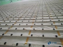 �N���\(y��n)��ľ�ذ屣�B(y��ng)����