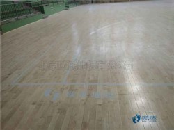 ��ľ�\�ӻ@��ذ�S�o(h��)���B(y��ng)